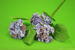 Uk Hydrangea X3 82cm fialová - velkoobchod, dovoz květin, řezané květiny Brno