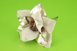 Uk magnolie 27cm růžová - velkoobchod, dovoz květin, řezané květiny Brno