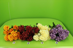 Uk chryzanétma kytice - velkoobchod, dovoz květin, řezané květiny Brno