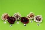 UK Květ růže MGHT 7cm - velkoobchod, dovoz květin, řezané květiny Brno