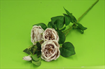UK VĚTEV růže Wild 75cm delicate brown - velkoobchod, dovoz květin, řezané květiny Brno