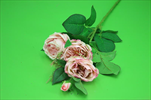 UK VĚTEV růže Wild 75cm LT MAUVE - velkoobchod, dovoz květin, řezané květiny Brno