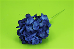 Uk hortenzie 12cm modrá - velkoobchod, dovoz květin, řezané květiny Brno