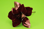 Uk magnolie 27cm burgundy - velkoobchod, dovoz květin, řezané květiny Brno