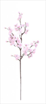 UK Třešeň větev kvetoucí 76cm - velkoobchod, dovoz květin, řezané květiny Brno